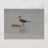 ポストカード (正面)