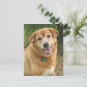  ポストカード (スタンド正面)