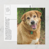  ポストカード (正面/裏面)