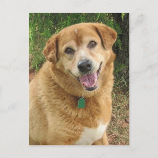  ポストカード (正面)