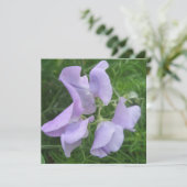 ポストカード (スタンド正面)