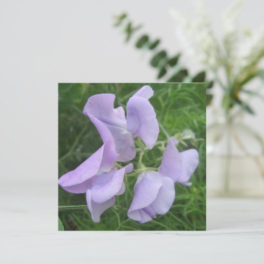 ポストカード (スタンド正面)