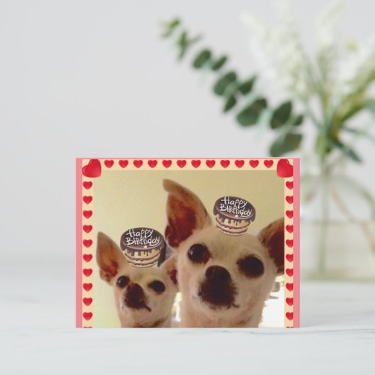 ポストカード (スタンド正面)