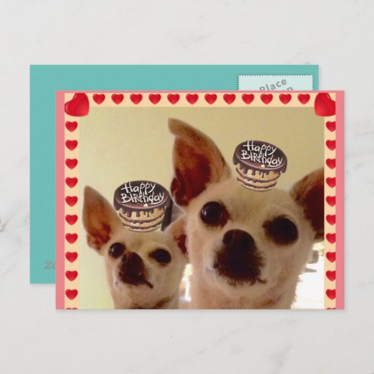 ポストカード (正面/裏面)