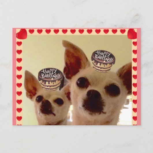 ポストカード (正面)