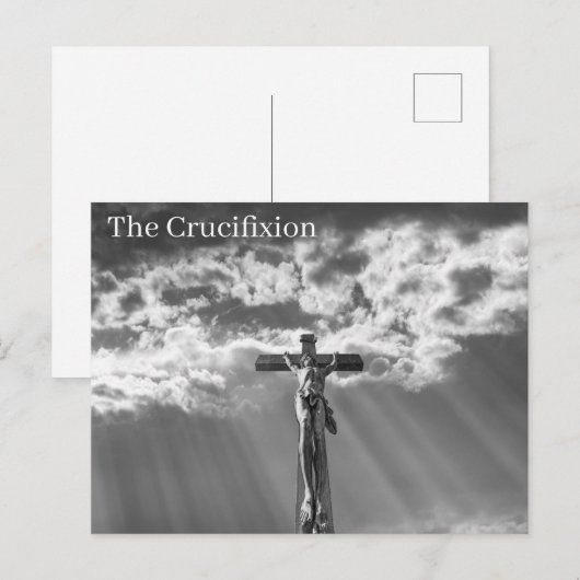 ポストカード (正面/裏面)