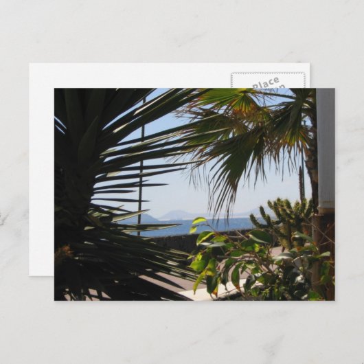 ポストカード (正面/裏面)