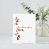 ポストカード (スタンド正面)