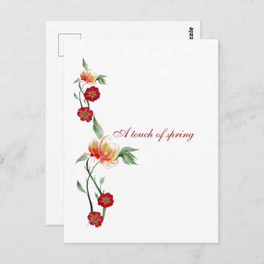 ポストカード (正面/裏面)