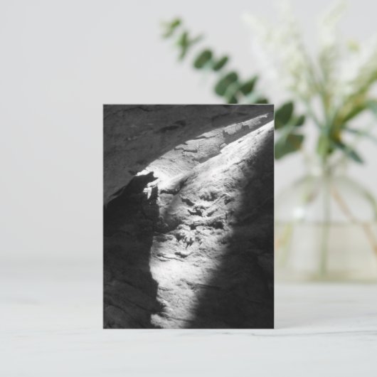 ポストカード (スタンド正面)