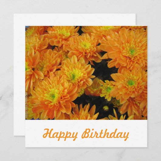 ポストカード (正面/裏面)