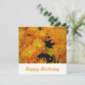 ポストカード (スタンド正面)