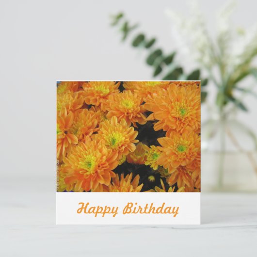 ポストカード (スタンド正面)