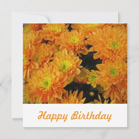 ポストカード (正面)