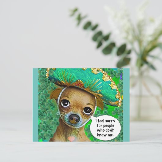 ポストカード (スタンド正面)