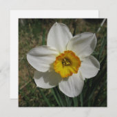 ポストカード (正面/裏面)