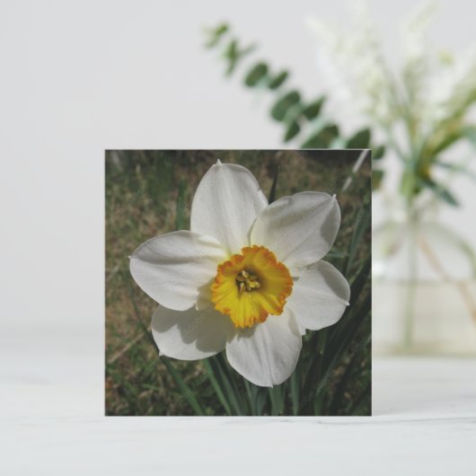 ポストカード (スタンド正面)