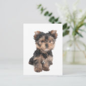 ポストカード (スタンド正面)