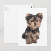 ポストカード (正面/裏面)