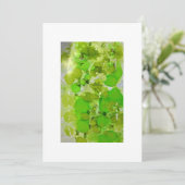 ポストカード (スタンド正面)