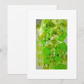 ポストカード (正面/裏面)