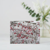 ポストカード (スタンド正面)