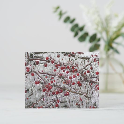 ポストカード (スタンド正面)