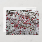 ポストカード (正面/裏面)