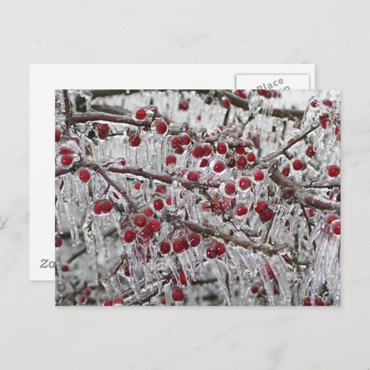 ポストカード (正面/裏面)