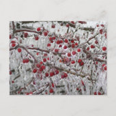 ポストカード (正面)