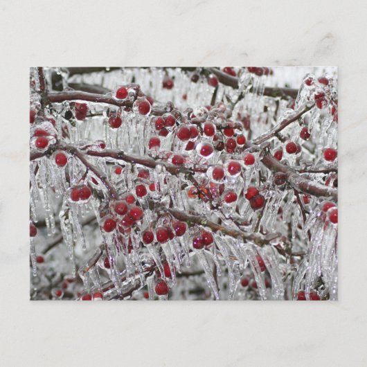 ポストカード (正面)