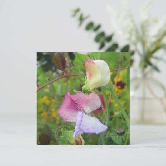 ポストカード (スタンド正面)