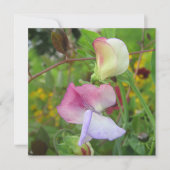 ポストカード (正面)