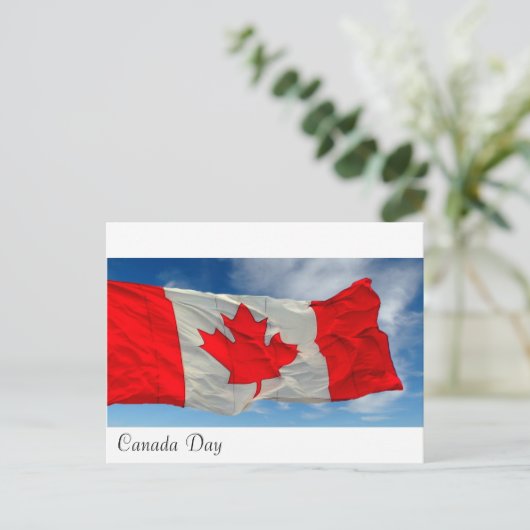 ポストカード (スタンド正面)