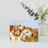 ポストカード:アーサー・ワードルによる2セッター ポストカード (スタンド正面)