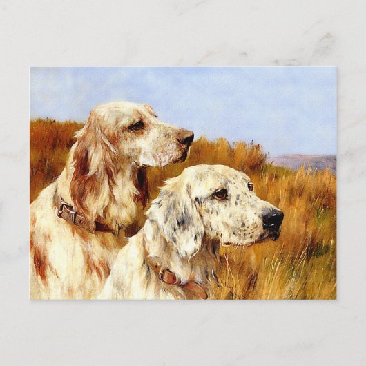 ポストカード:アーサー・ワードルによる2セッター ポストカード (正面)