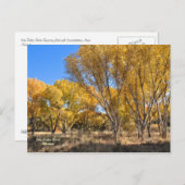 ポストカード：イエローコットンウッズ ポストカード (正面/裏面)