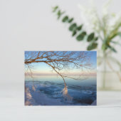 ポストカード、オンタリオ湖、氷の寒さ。 ポストカード (スタンド正面)