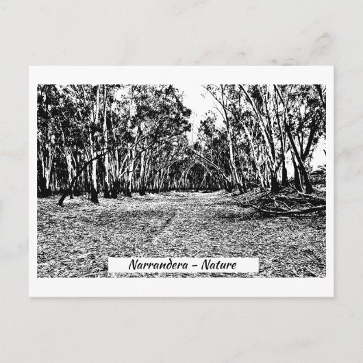 ポストカード、サイズ：標準はがき、 ポストカード (正面)