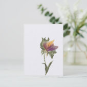 ポストカード、サイズ:標準はがき、紙:マット、 ポストカード (スタンド正面)