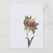 ポストカード、サイズ:標準はがき、紙:マット、 ポストカード (正面)