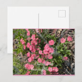 ポストカード、サイズ:標準はがき、紙:マット、 ポストカード (正面/裏面)