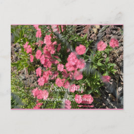 ポストカード、サイズ：標準はがき、紙：マット、 ポストカード