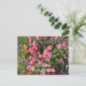 ポストカード、サイズ:標準はがき、紙:マット、 ポストカード (スタンド正面)