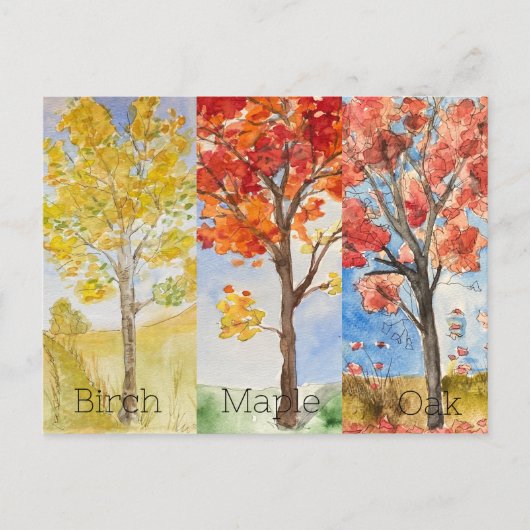 ポストカード、サイズ：標準はがき、紙：マット、 ポストカード (正面)