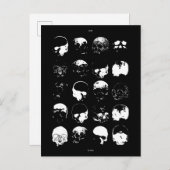 ポストカード、サイズ：標準はがき、紙：マット、 ポストカード (正面/裏面)