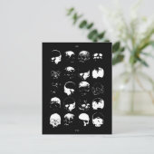 ポストカード、サイズ：標準はがき、紙：マット、 ポストカード (スタンド正面)