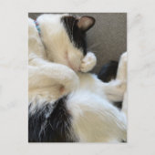 ポストカード、サイズ:標準はがき、紙:マット ポストカード (正面)