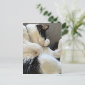 ポストカード、サイズ:標準はがき、紙:マット ポストカード (スタンド正面)