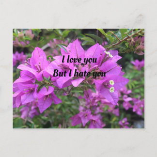 ポストカード、サイズ：標準はがき、紙: Semi-Gl ポストカード